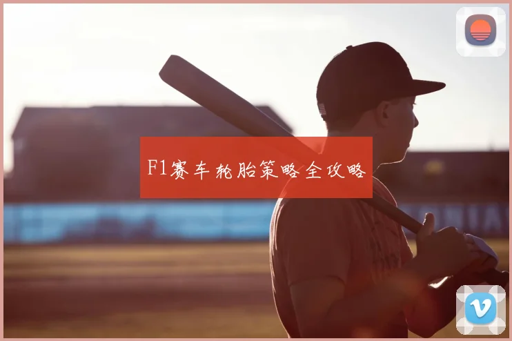 F1赛车轮胎策略全攻略