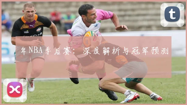 年NBA季后赛：深度解析与冠军预测