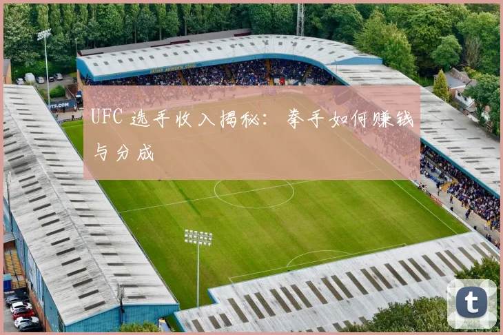 UFC 选手收入揭秘:拳手如何赚钱与分成