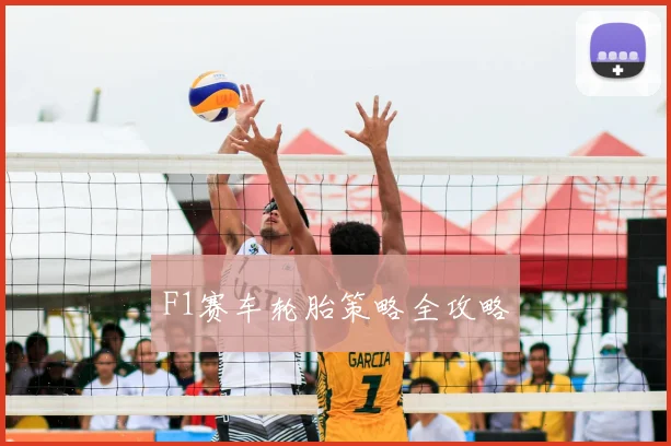 F1赛车轮胎策略全攻略