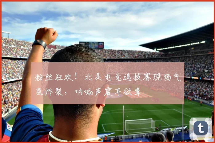 粉丝狂欢!北美电竞选拔赛现场气氛炸裂,呐喊声震耳欲聋